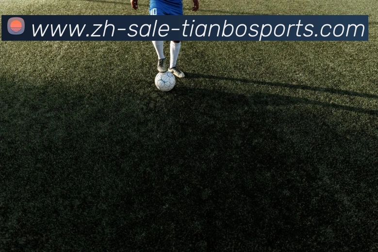 天博综合体育平台生态图